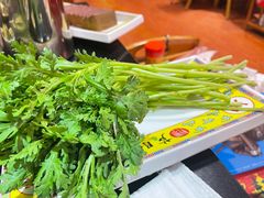 -芦月轩羊蝎子(劲松店)
