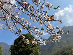-明月山风景名胜区
