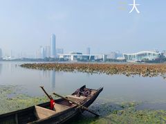 -月湖风景区