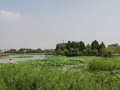 -白洋淀景区