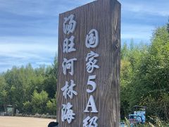 -汤旺河林海奇石景区