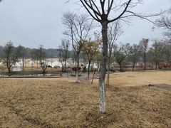 -南京老山国家森林公园