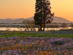 -东钱湖旅游度假区