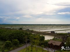 -大湾区中央湿地公园