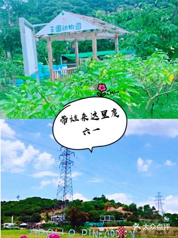 六一就带娃来感受大自然