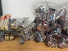 -康爱犬猫诊所·牙专科·骨外科·影像内科(丰宁店)