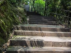 -凤栖山