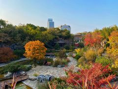 -上海吴淞炮台湾国家湿地公园