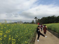 -光明小镇欢乐田园