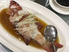 清蒸东星斑-帝皇楼