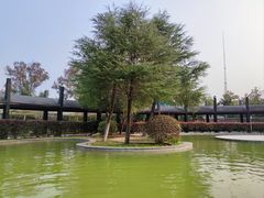 -三江森林温泉度假区