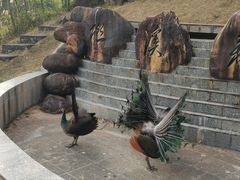-千泷沟大瀑布旅游区
