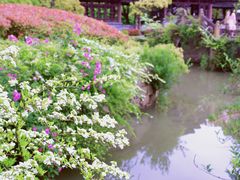 -韩湘水博园