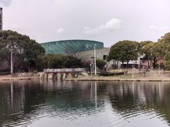 -新江湾城公园