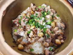 -红星光发煲仔饭(大石街店)