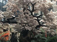 -嘉悦汗蒸时代(曙光路店)