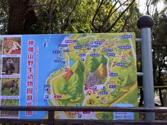 -西霞口神雕山野生动物世界