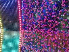 -华熙生物·润百颜ECM中心