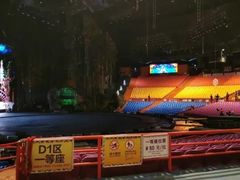 -广州长隆国际大马戏
