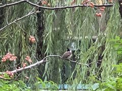 -上海市龙华烈士陵园