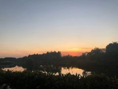 -瑶湖郊野森林公园