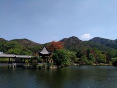 -黄陂区野村谷景区