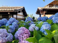 -鼓岭旅游度假区