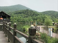 -石塘人家