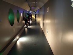 -白鹤梁水下博物馆