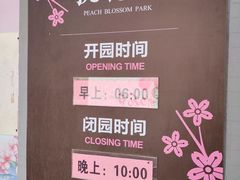 -桃花堤公园