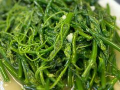蒜蓉炒瓜苗-老崇左特色风味食馆