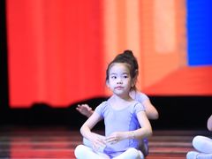 -芭蕾仙子 FairyBallet 少儿芭蕾舞蹈中心(丽都旗舰店)