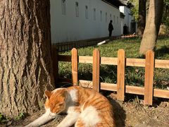 -西园戒幢律寺