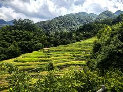 -石台牯牛降景区