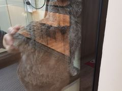 -喜洋洋宠物医院(震川路总店)