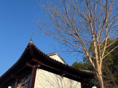 -葛仙湖公园