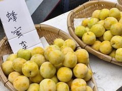 -土砂锅生态山庄·非遗砂锅雅鱼