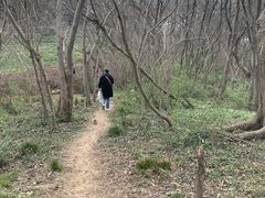 -南京市江宁方山