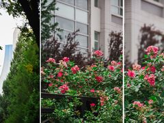 -中国石油大学（北京）(北京西校区)