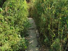 -北京十三陵国家森林公园蟒山景区