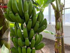 -兴芮温泉度假区