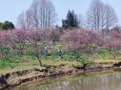 -上海海湾国家森林公园
