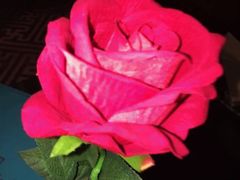 -俏江南(中山路先天下广场店)