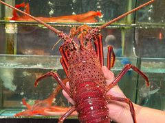 -荣基四海一家·家常菜·海鲜大排档(新安店)