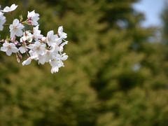 -白塘生态植物园