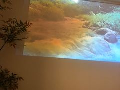 -沐森 •疗愈头疗馆(打浦桥店)