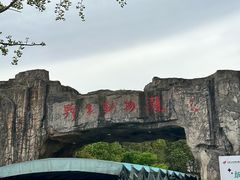 -合肥野生动物园