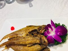 -金米箩大酒店(五角场店)