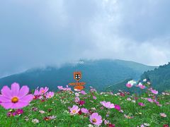-太舞滑雪小镇