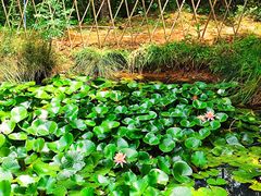 -盘龙城国家考古遗址公园